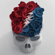 Grateful Dead Long Strange Trip Sydney